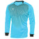 PENALTY Delta Herren Torwarttrikot Turquoise/Black 3.115.017.021 – XL