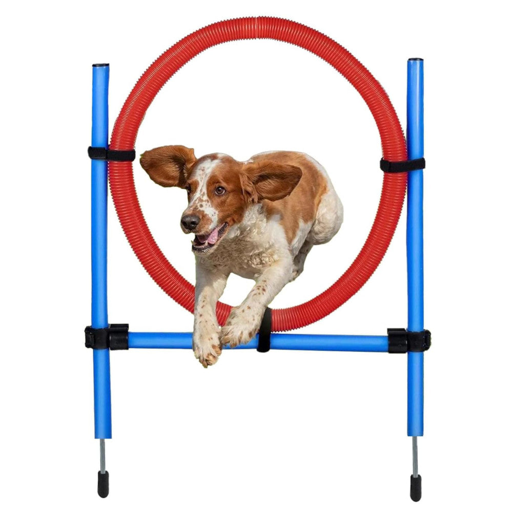 maxxpro Agility Spring Ring - Set Agility für Hunde 47433