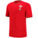 Wales WRU macron Rugby Kinder Trainings Trikot 58140002 – JL 146-158