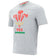 Wales WRU macron Rugby Herren T-Shirt 58195700 – S
