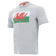 Wales WRU macron Rugby Herren T-Shirt 58195704 – S