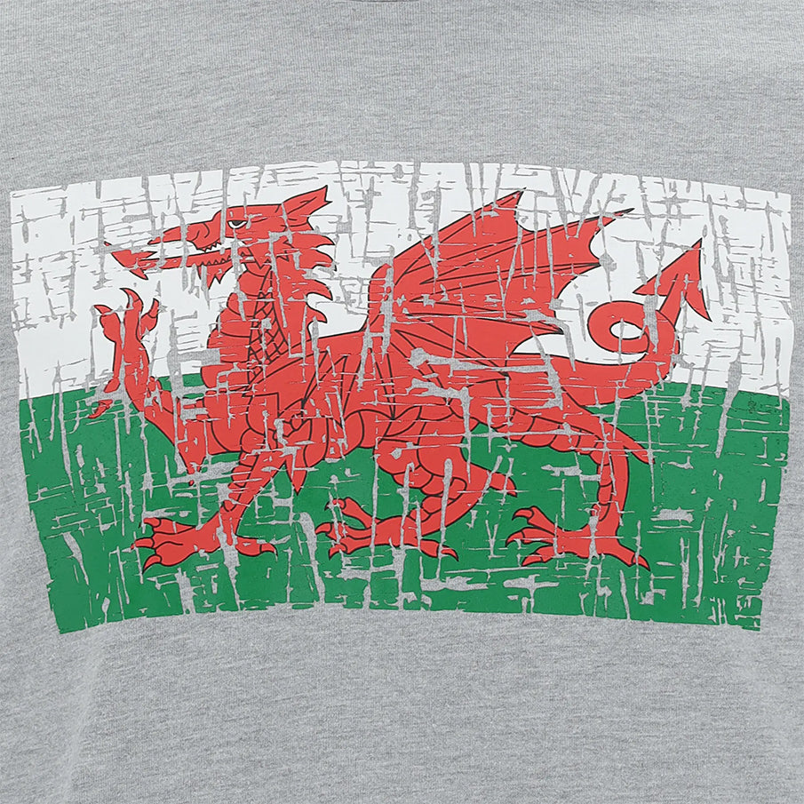 Wales WRU macron Rugby Herren T-Shirt 58195704