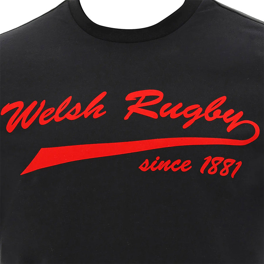 Wales WRU macron Rugby Herren T-Shirt 58195706
