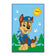 Paw Patrol Fußmatte Teppich 50 x 75 cm 6432442194523 – Einheitsgröße