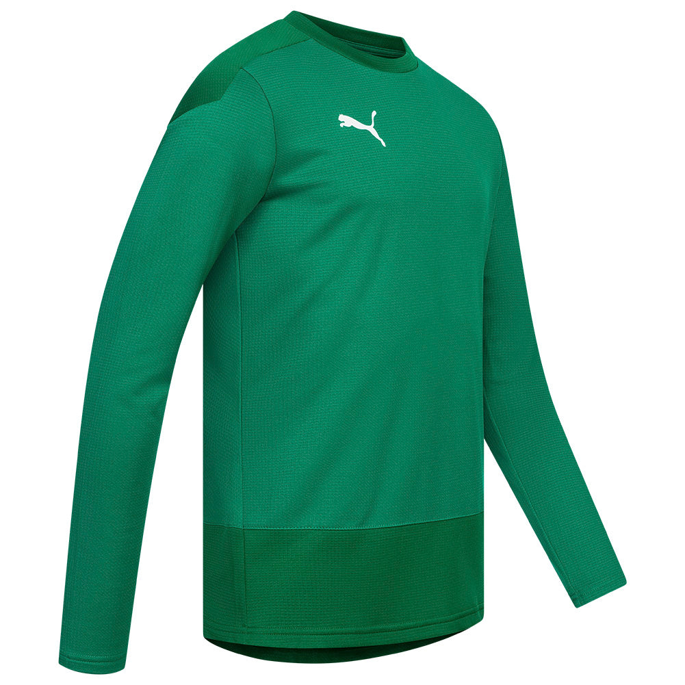 PUMA teamGOAL Herren Training Sweatshirt 656478-05
