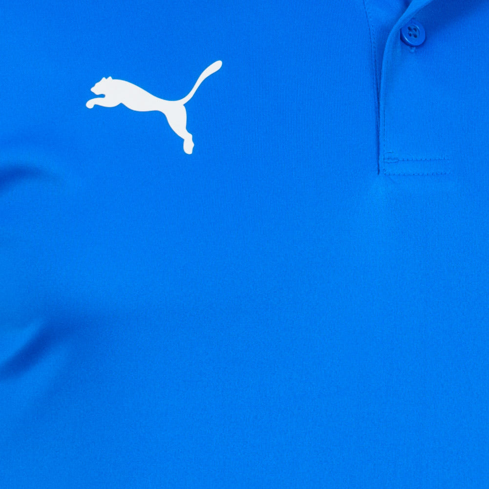 PUMA teamGOAL Sideline Herren Polo-Shirt 656577-02