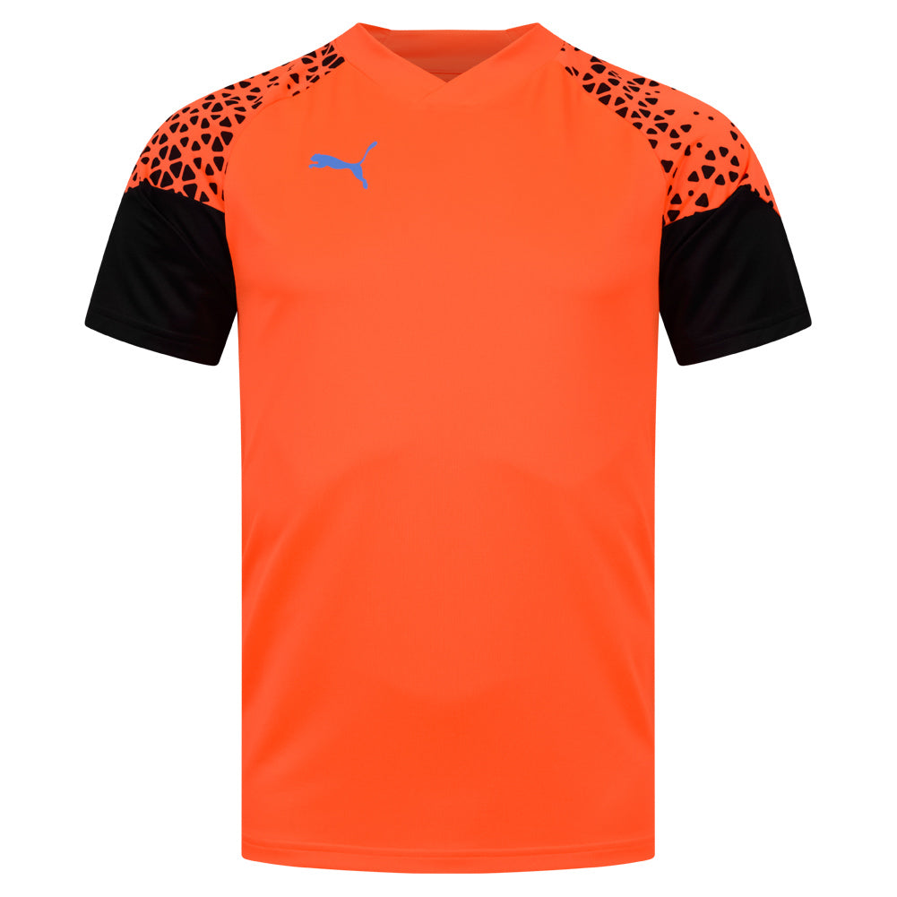 PUMA individualCUP Training Herren Trikot 658289-50