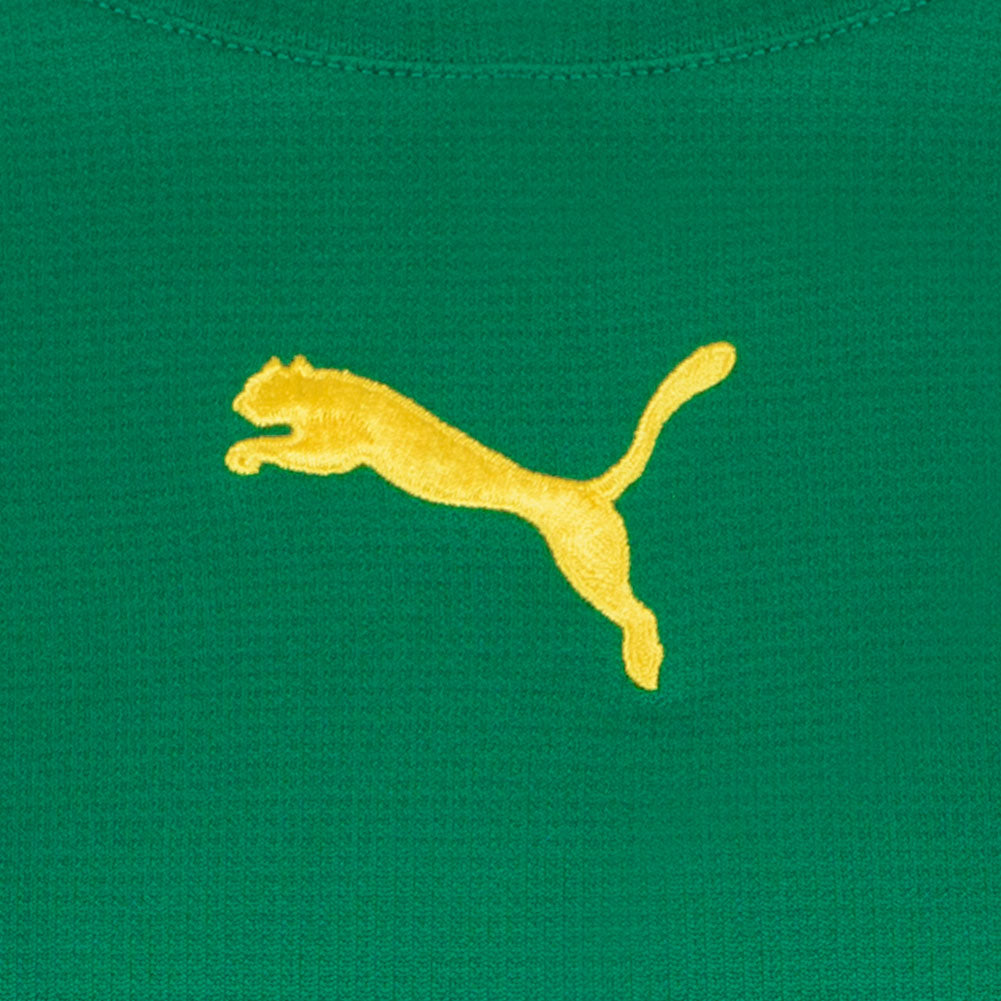 PUMA V5.06 Damen Langarm Trikot 700282-15