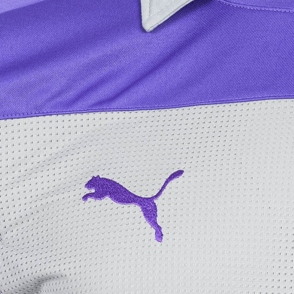 PUMA PowerCat PWR-C 1.12 GK Shirt Herren Torwarttrikot 701201-46