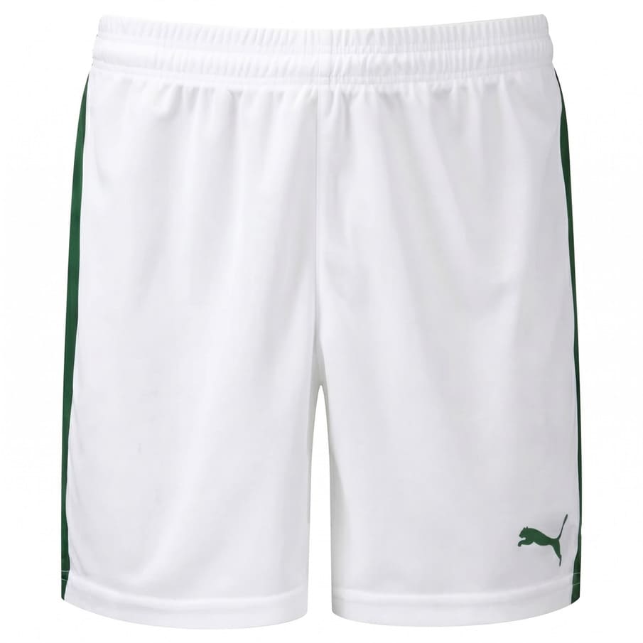 PUMA Pitch Kinder Shorts 702072-21