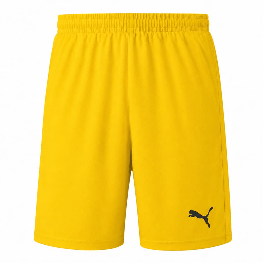 PUMA LIGA Core Herren Shorts mit Innenhose 703615-07