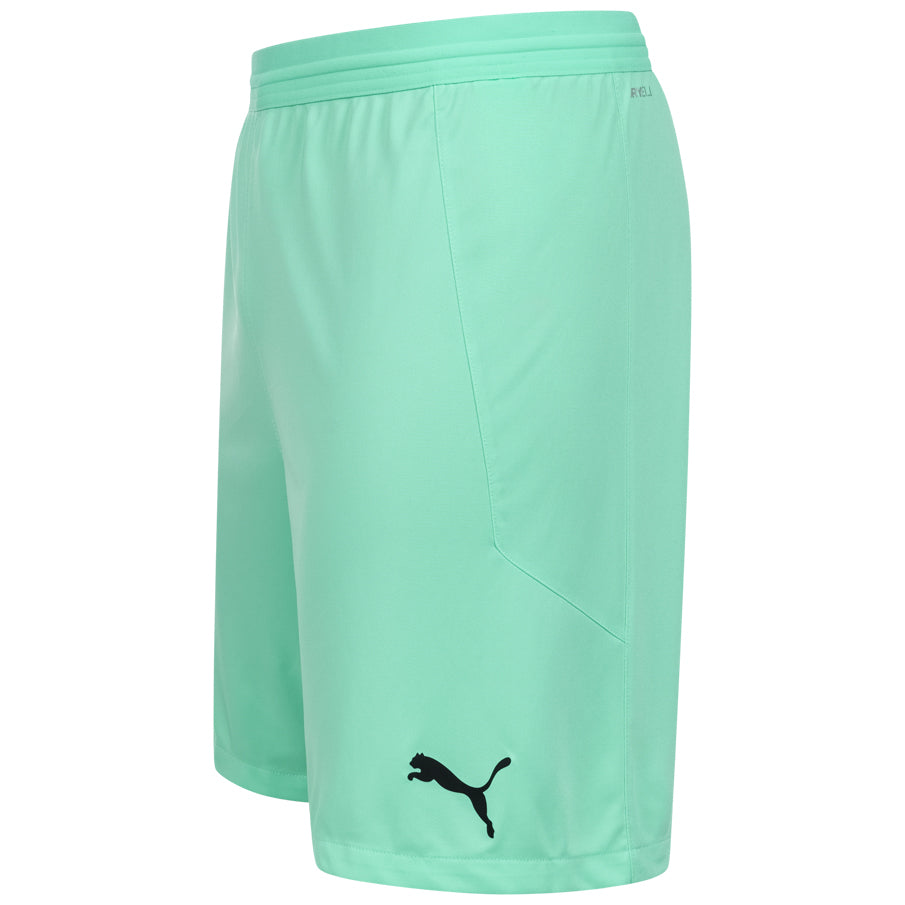 PUMA teamFINAL Herren Training Shorts 704257-21