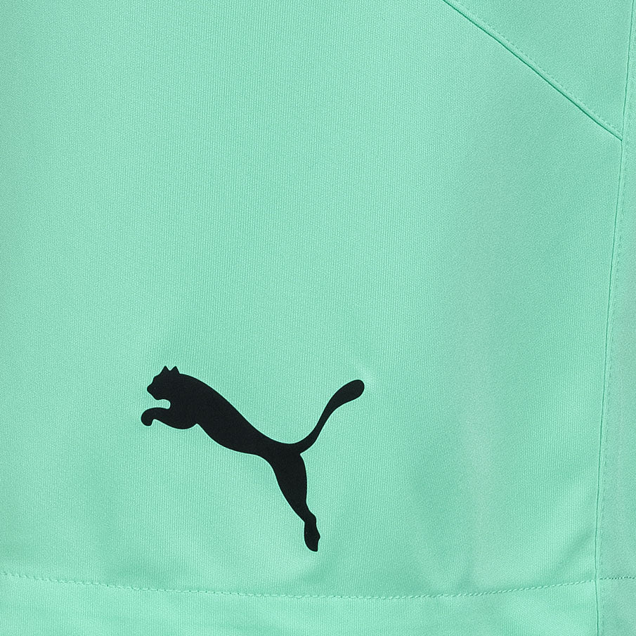 PUMA teamFINAL Herren Training Shorts 704257-21