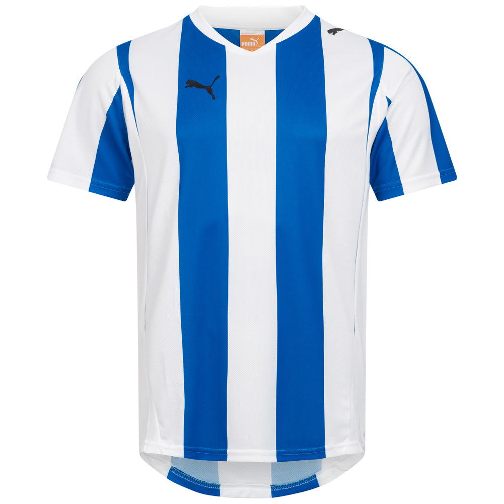 PUMA PowerCat 5.10 Striped Trikot 741322-01