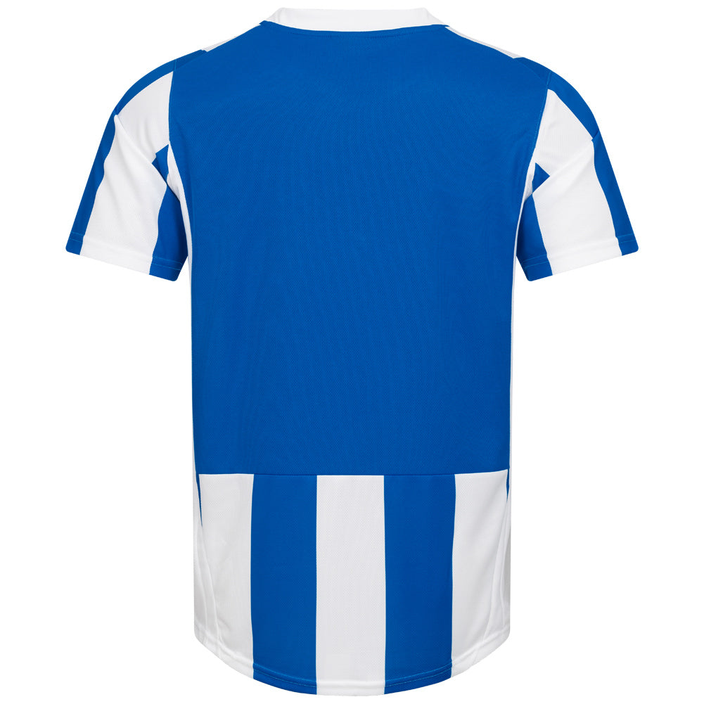PUMA PowerCat 5.10 Striped Trikot 741322-01