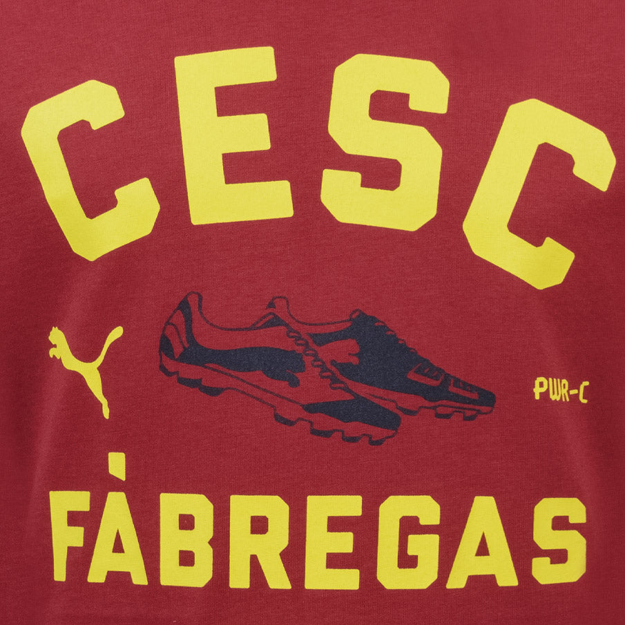PUMA x CESC FABREGAS Kinder T-Shirt 745111-14