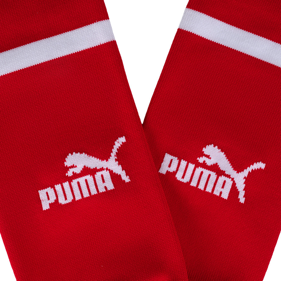 Österreich ÖFB PUMA Heim Stutzen 766035-01