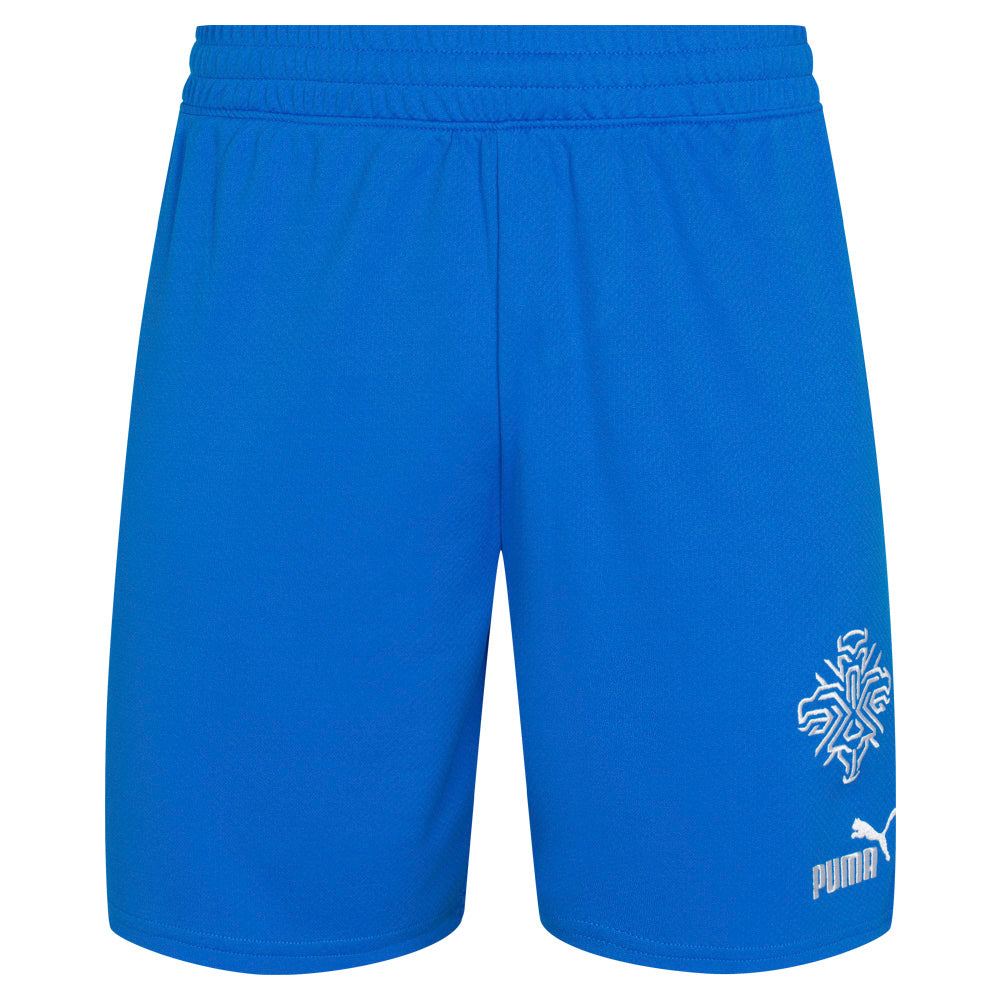 Island PUMA Herren Heim Shorts 766069-01