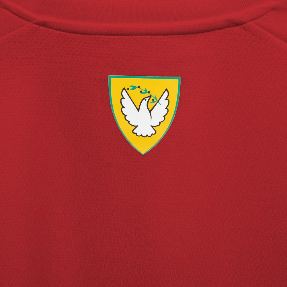 Nord Zypern PUMA Herren Heim Trikot 773344-01