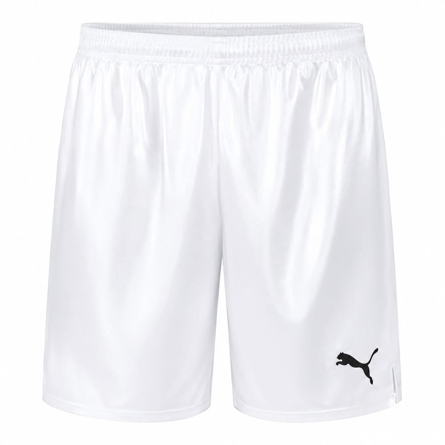 PUMA Game Herren Shorts 900410-13