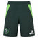 Algerien adidas Auswärts Shorts IT2730 – XS