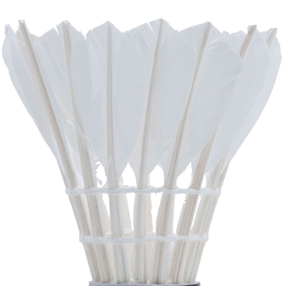 JELEX Fly High Volano da badminton in set da 12