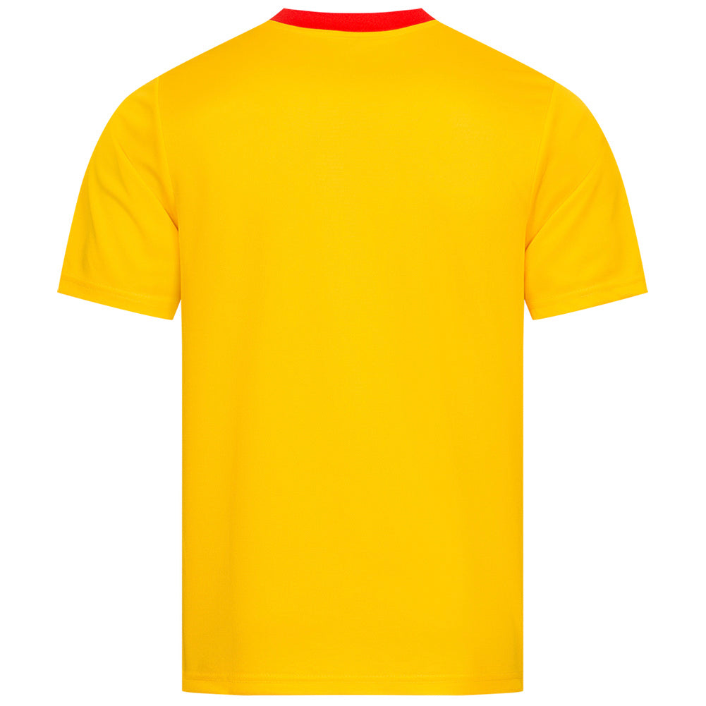 Rumänien "Retro History" JELEX Herren Trikot