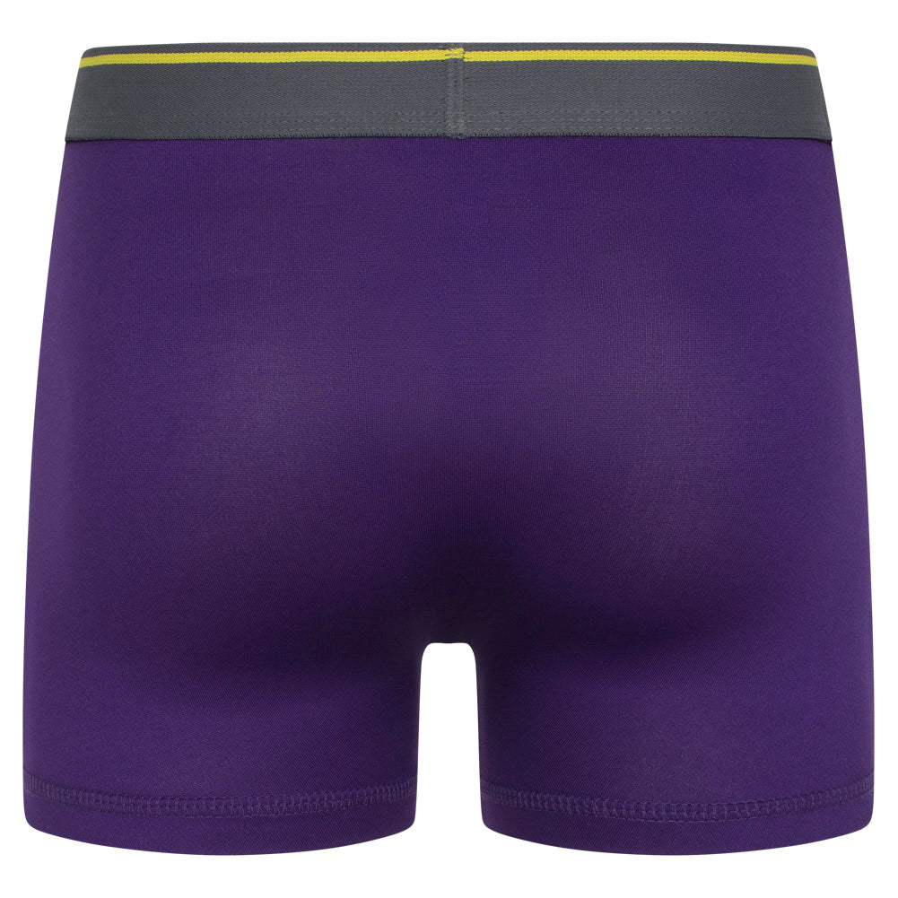 Parker & Fox Performance Kinder Boxershorts 3er-Pack PRXFA24B151642-014